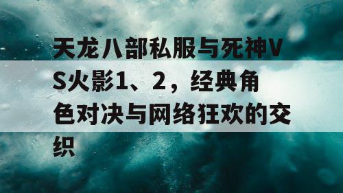 天龙八部私服与死神VS火影1、2，经典角色对决与网络狂欢的交织