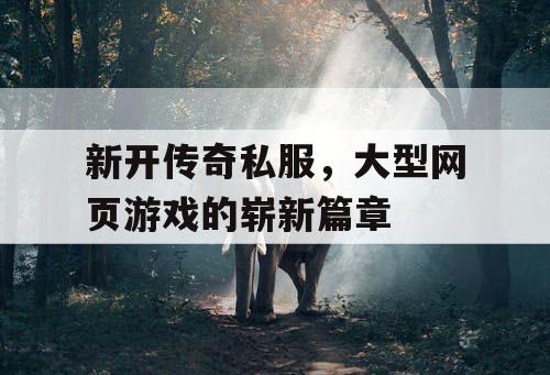新开传奇私服，大型网页游戏的崭新篇章