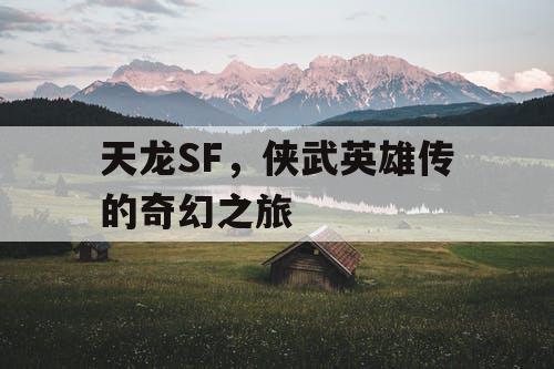 天龙SF，侠武英雄传的奇幻之旅
