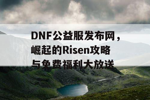 DNF公益服发布网，崛起的Risen攻略与免费福利大放送