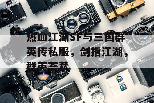 热血江湖SF与三国群英传私服，剑指江湖，群英荟萃