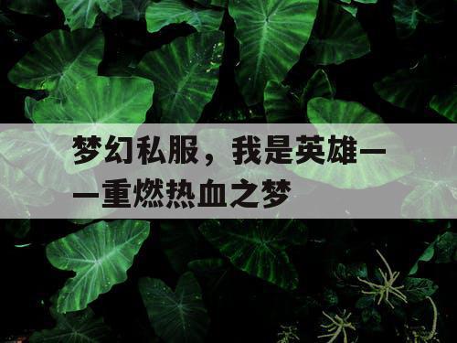 梦幻私服，我是英雄——重燃热血之梦