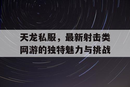 天龙私服，最新射击类网游的独特魅力与挑战