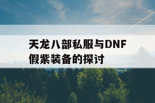 天龙八部私服与DNF假紫装备的探讨 天龙八部私服与DNF假紫装备的探讨