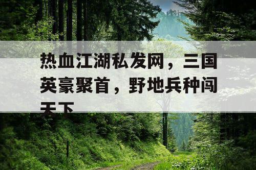 热血江湖私发网,三国英豪聚首,野地兵种闯天下 热血江湖私发网,三国英豪聚首,野地兵种闯天下
