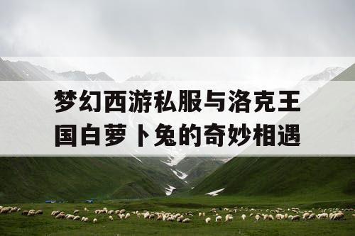 梦幻西游私服与洛克王国白萝卜兔的奇妙相遇