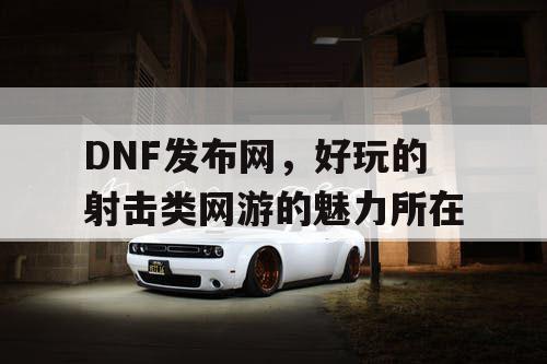 DNF发布网，好玩的射击类网游的魅力所在