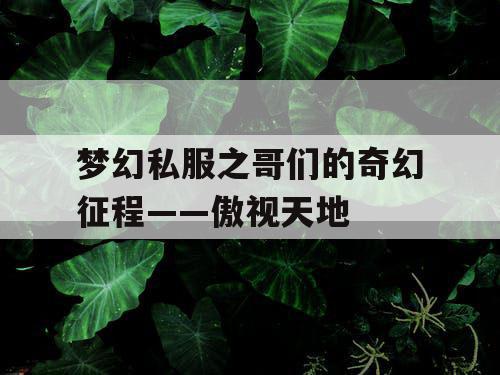 梦幻私服之哥们的奇幻征程——傲视天地