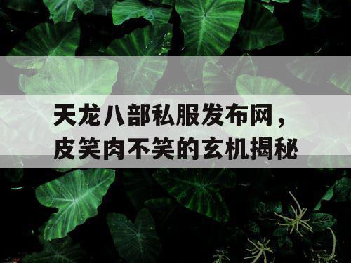 天龙八部私服发布网,皮笑肉不笑的玄机揭秘 天龙八部私服发布网,皮笑肉不笑的玄机揭秘