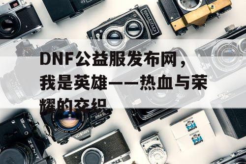 DNF公益服发布网，我是英雄——热血与荣耀的交织