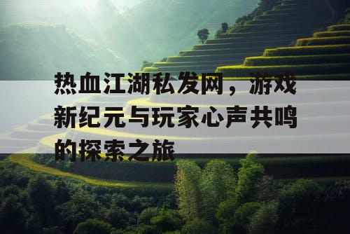 热血江湖私发网，游戏新纪元与玩家心声共鸣的探索之旅