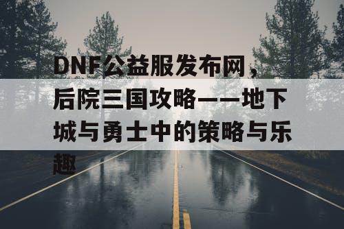 DNF公益服发布网，后院三国攻略——地下城与勇士中的策略与乐趣
