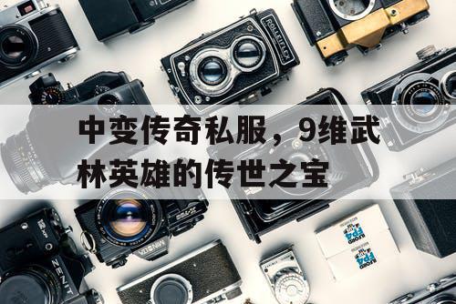 中变传奇私服，9维武林英雄的传世之宝