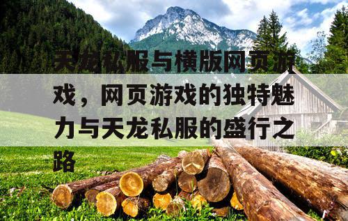 天龙私服与横版网页游戏，网页游戏的独特魅力与天龙私服的盛行之路