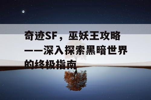 奇迹SF，巫妖王攻略——深入探索黑暗世界的终极指南