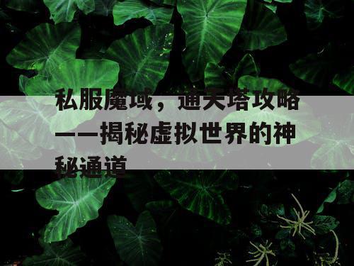 私服魔域,通天塔攻略——揭秘虚拟世界的神秘通道 私服魔域,通天塔攻略——揭秘虚拟世界的神秘通道