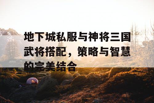 地下城私服与神将三国武将搭配，策略与智慧的完美结合