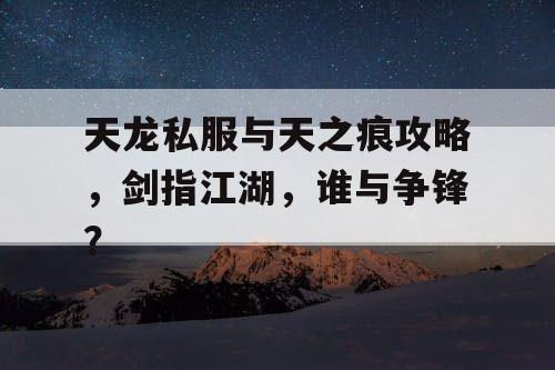 天龙私服与天之痕攻略，剑指江湖，谁与争锋？
