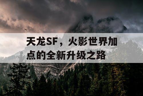 天龙SF，火影世界加点的全新升级之路