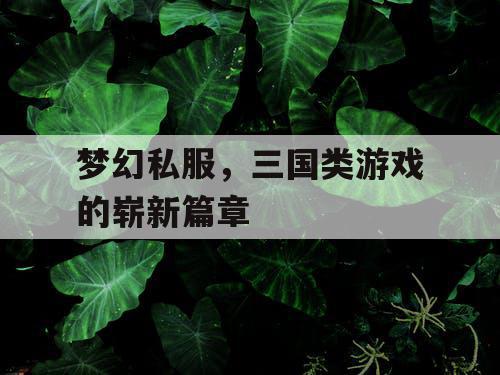 梦幻私服，三国类游戏的崭新篇章