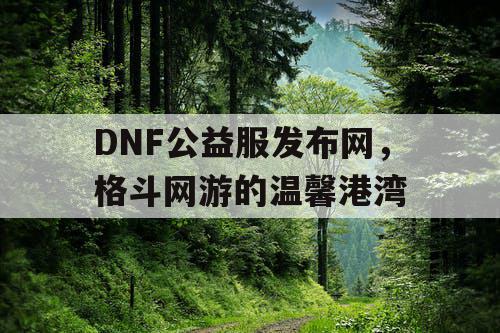 DNF公益服发布网，格斗网游的温馨港湾