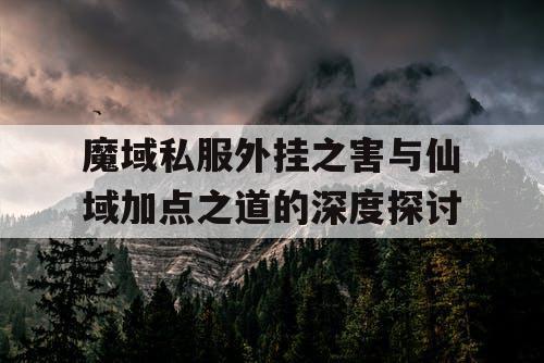 魔域私服外挂之害与仙域加点之道的深度探讨