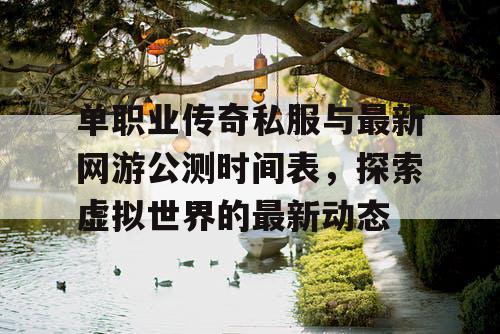 单职业传奇私服与最新网游公测时间表，探索虚拟世界的最新动态