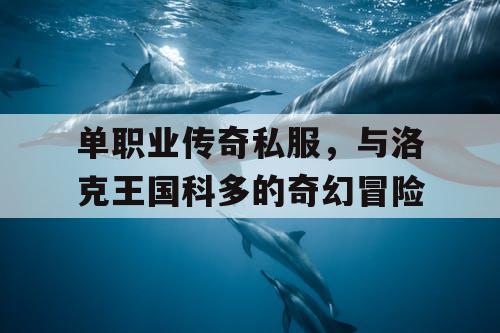 单职业传奇私服，与洛克王国科多的奇幻冒险