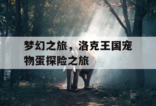 梦幻之旅，洛克王国宠物蛋探险之旅