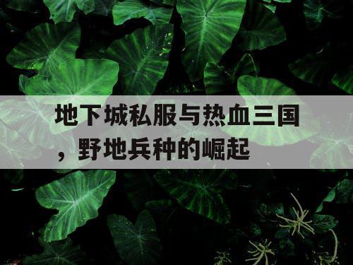 地下城私服与热血三国，野地兵种的崛起