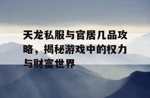 天龙私服与官居几品攻略，揭秘游戏中的权力与财富世界