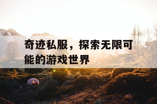奇迹私服，探索无限可能的游戏世界