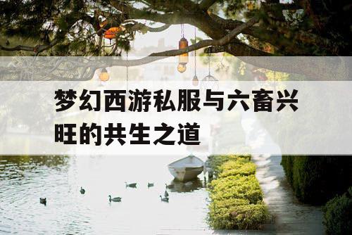 梦幻西游私服与六畜兴旺的共生之道