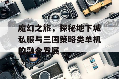 魔幻之旅，探秘地下城私服与三国策略类单机的融合发展