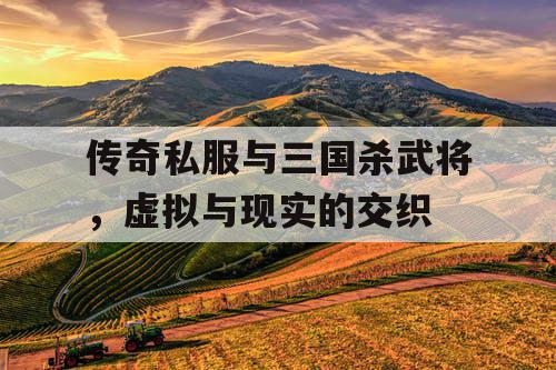 传奇私服与三国杀武将，虚拟与现实的交织