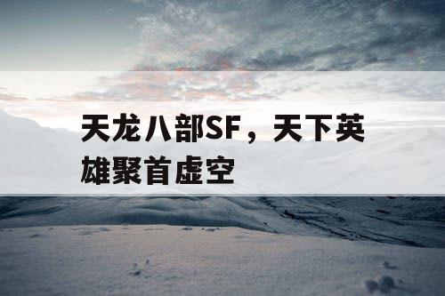 天龙八部SF，天下英雄聚首虚空