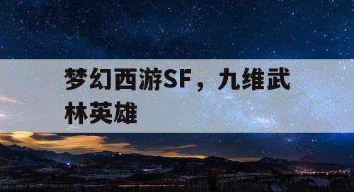 梦幻西游SF，九维武林英雄