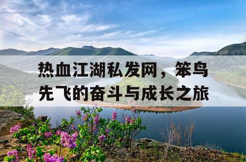 热血江湖私发网，笨鸟先飞的奋斗与成长之旅