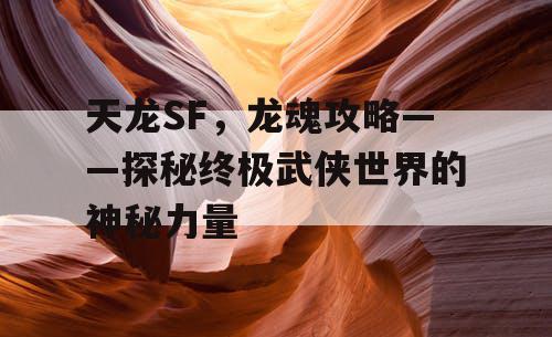 天龙SF，龙魂攻略——探秘终极武侠世界的神秘力量