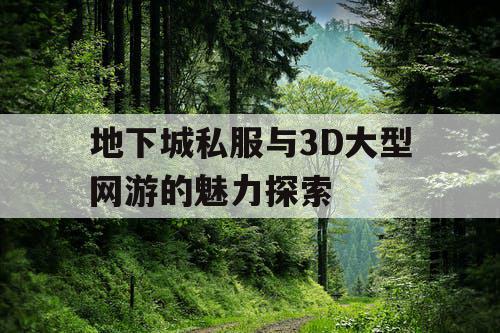 地下城私服与3D大型网游的魅力探索