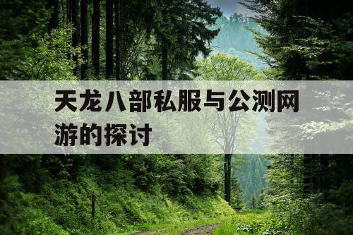 天龙八部私服与公测网游的探讨