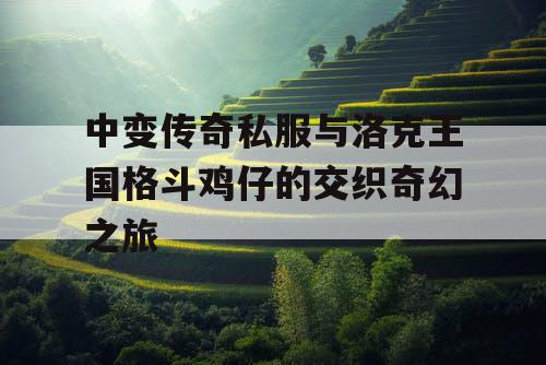 中变传奇私服与洛克王国格斗鸡仔的交织奇幻之旅