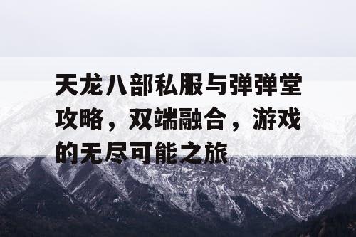 天龙八部私服与弹弹堂攻略，双端融合，游戏的无尽可能之旅