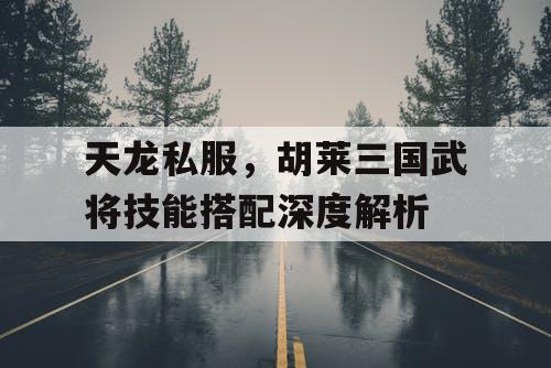 天龙私服,胡莱三国武将技能搭配深度解析 天龙私服,胡莱三国武将技能搭配深度解析