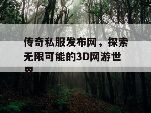 传奇私服发布网，探索无限可能的3D网游世界