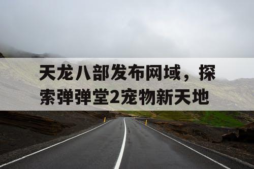 天龙八部发布网域，探索弹弹堂2宠物新天地