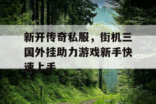新开传奇私服,街机三国外挂助力游戏新手快速上手 新开传奇私服,街机三国外挂助力游戏新手快速上手