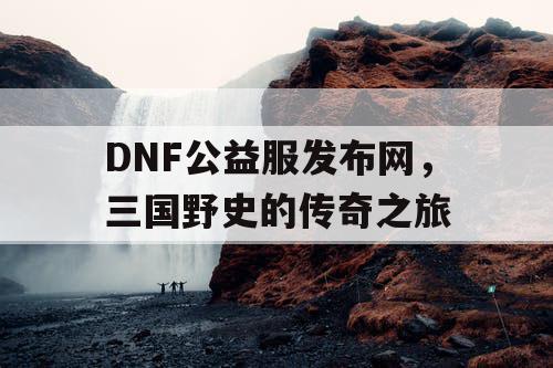 DNF公益服发布网，三国野史的传奇之旅
