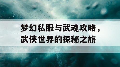 梦幻私服与武魂攻略，武侠世界的探秘之旅