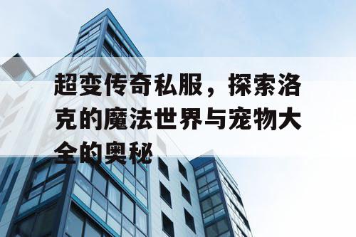 超变传奇私服，探索洛克的魔法世界与宠物大全的奥秘